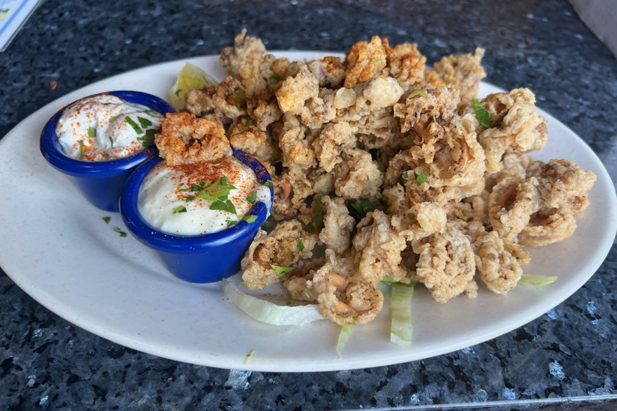 Calamari Appetizer